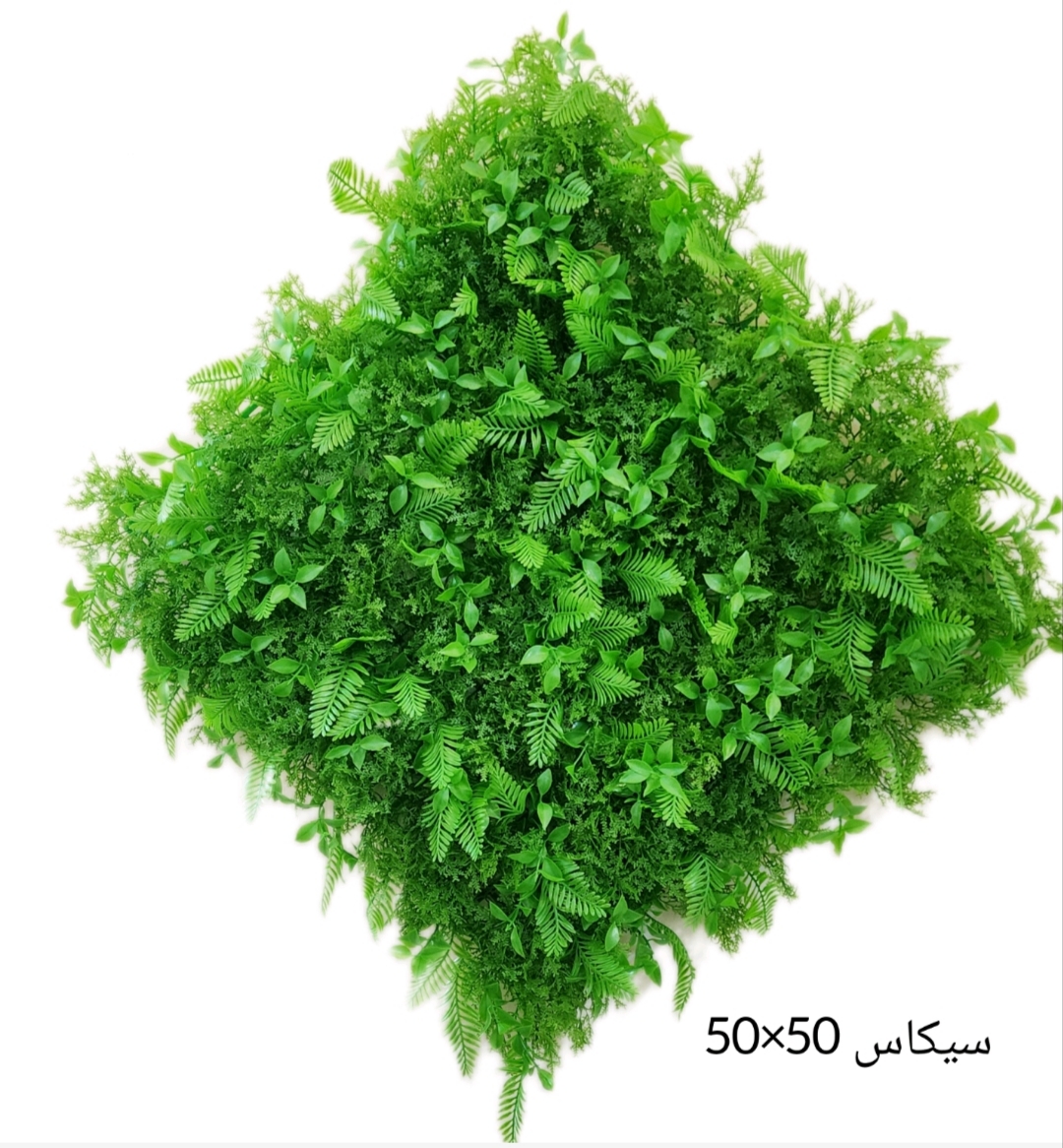 گرینوال 50*50 سیکاس