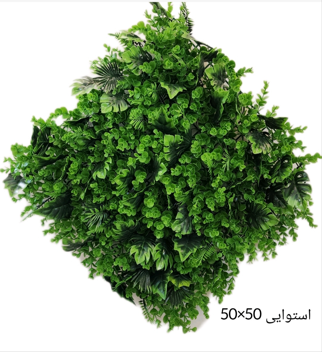 گرینوال 50*50 استوایی