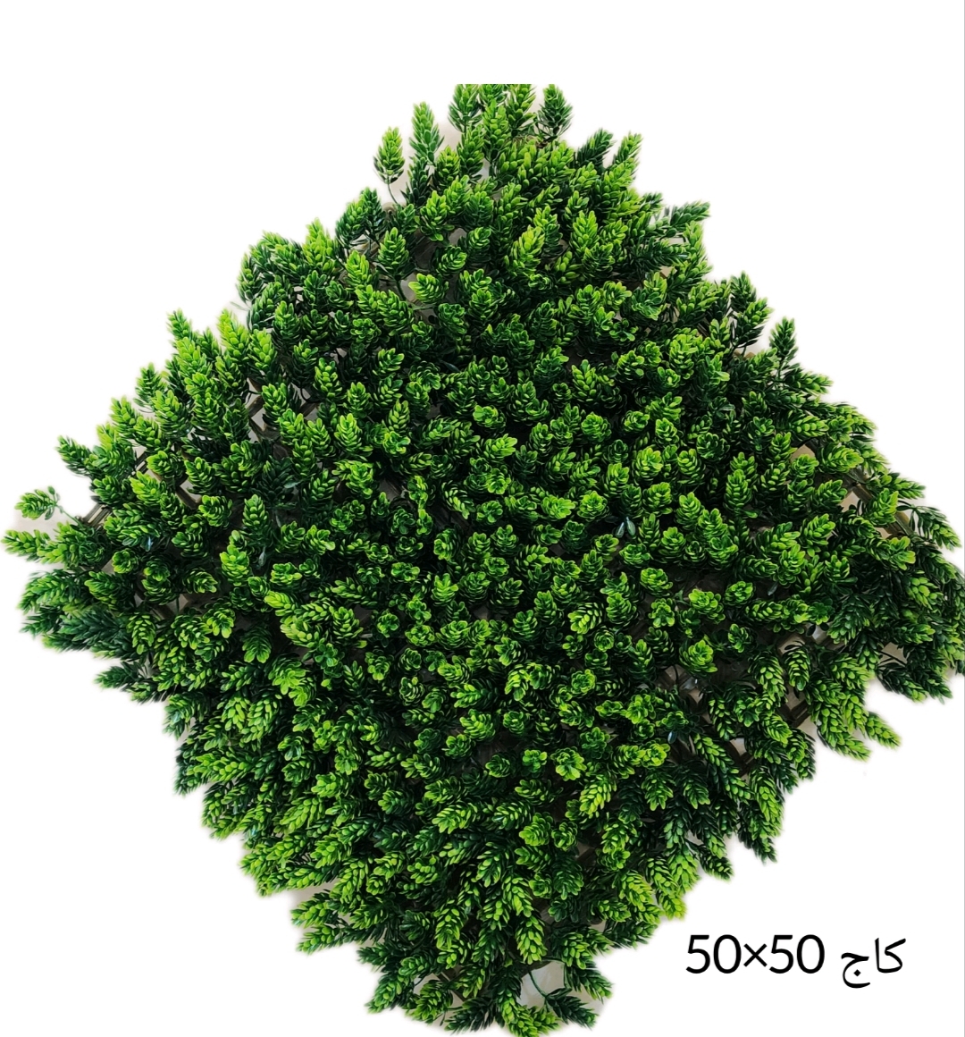 گرینوال 50*50 کاج