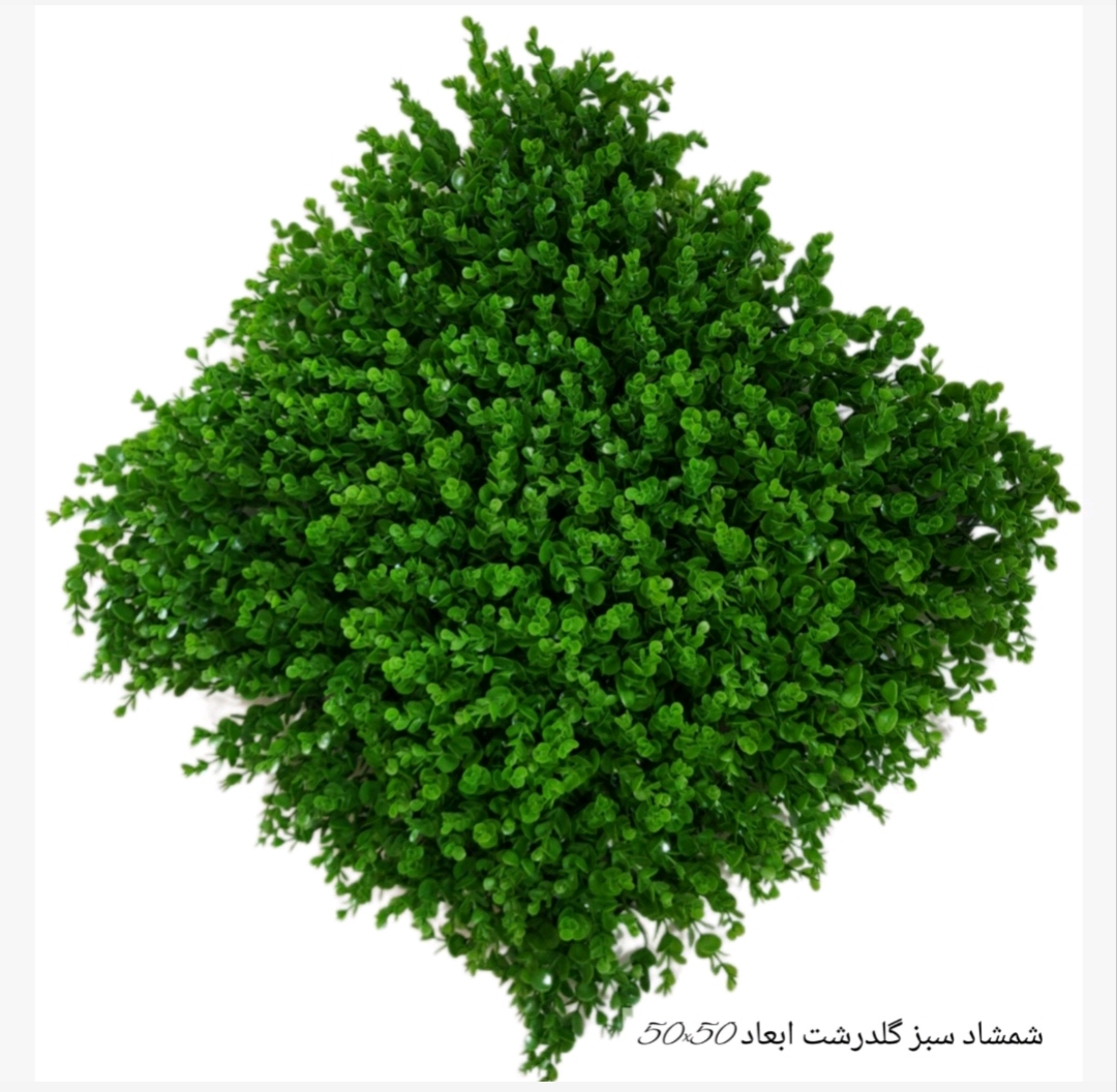 گرینوال 50*50 شمشاد سبز گلدرشت