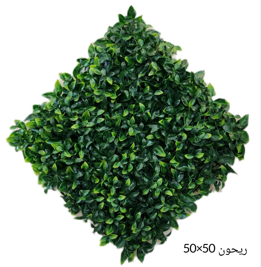 گرینوال 50*50 ریحون